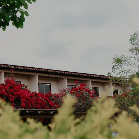 Hotel Pousada Primavera à Mucugê Extérieur photo