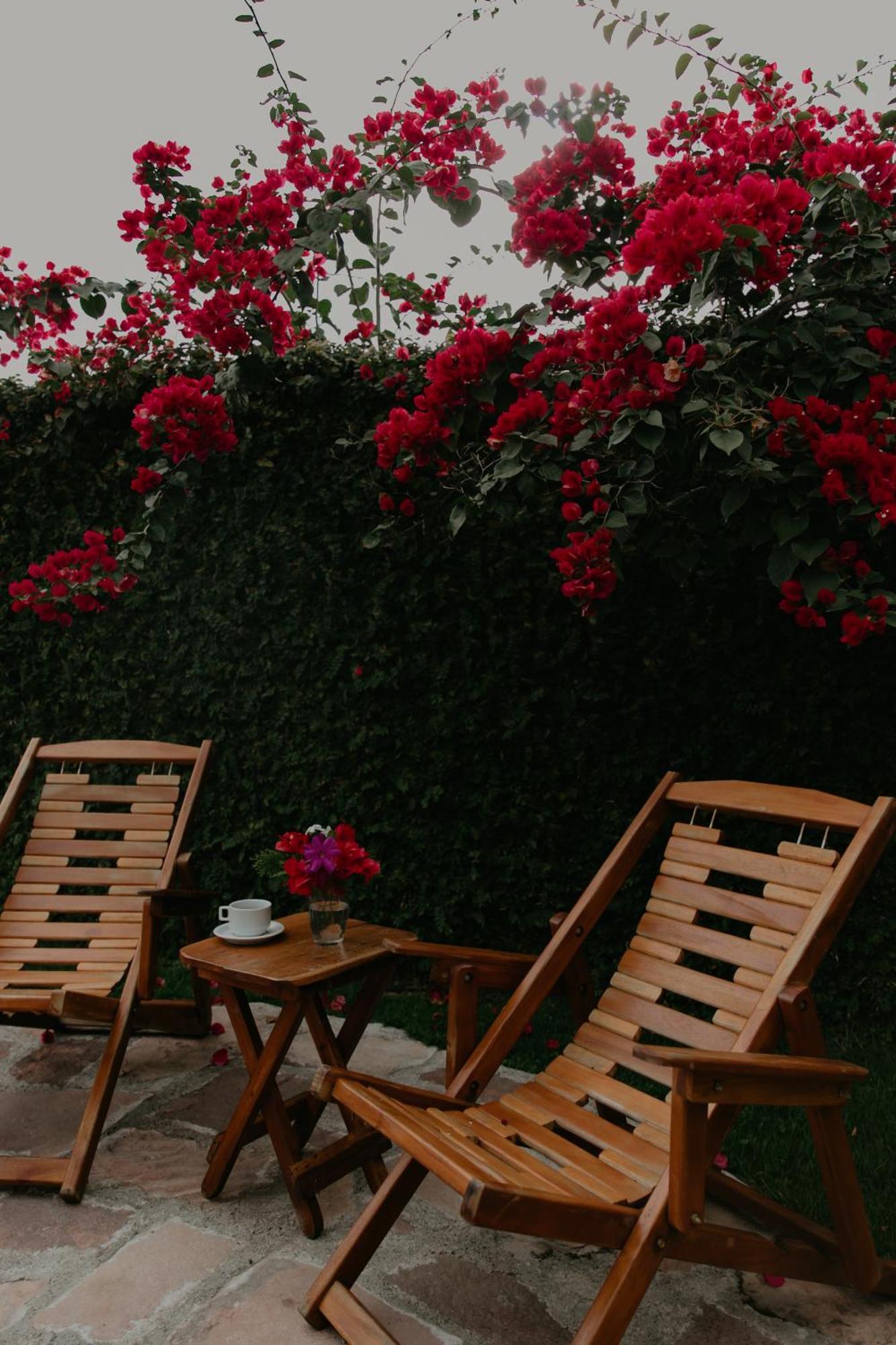 Hotel Pousada Primavera à Mucugê Extérieur photo